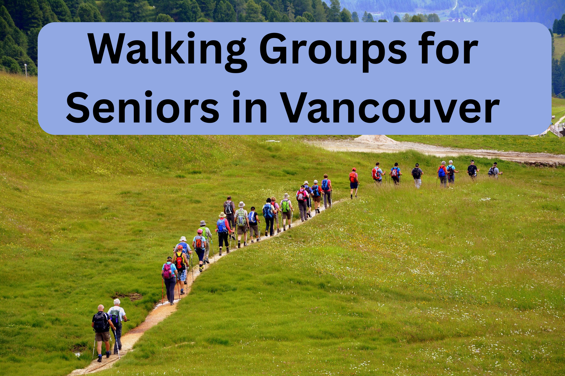 Walking Groups for Seniors in Vancouver